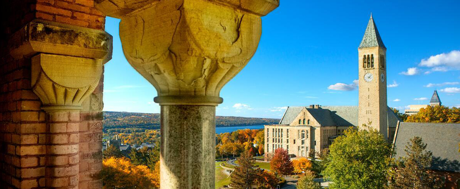 campus scene